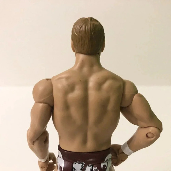 2011  Mattel WWE Wrestling Daniel Bryan Figure WWF WCW - Picture 8 of 16